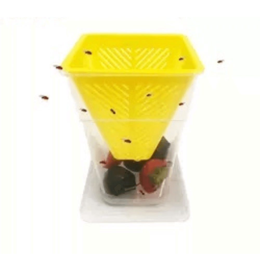 Home Kitchen Insect Trap