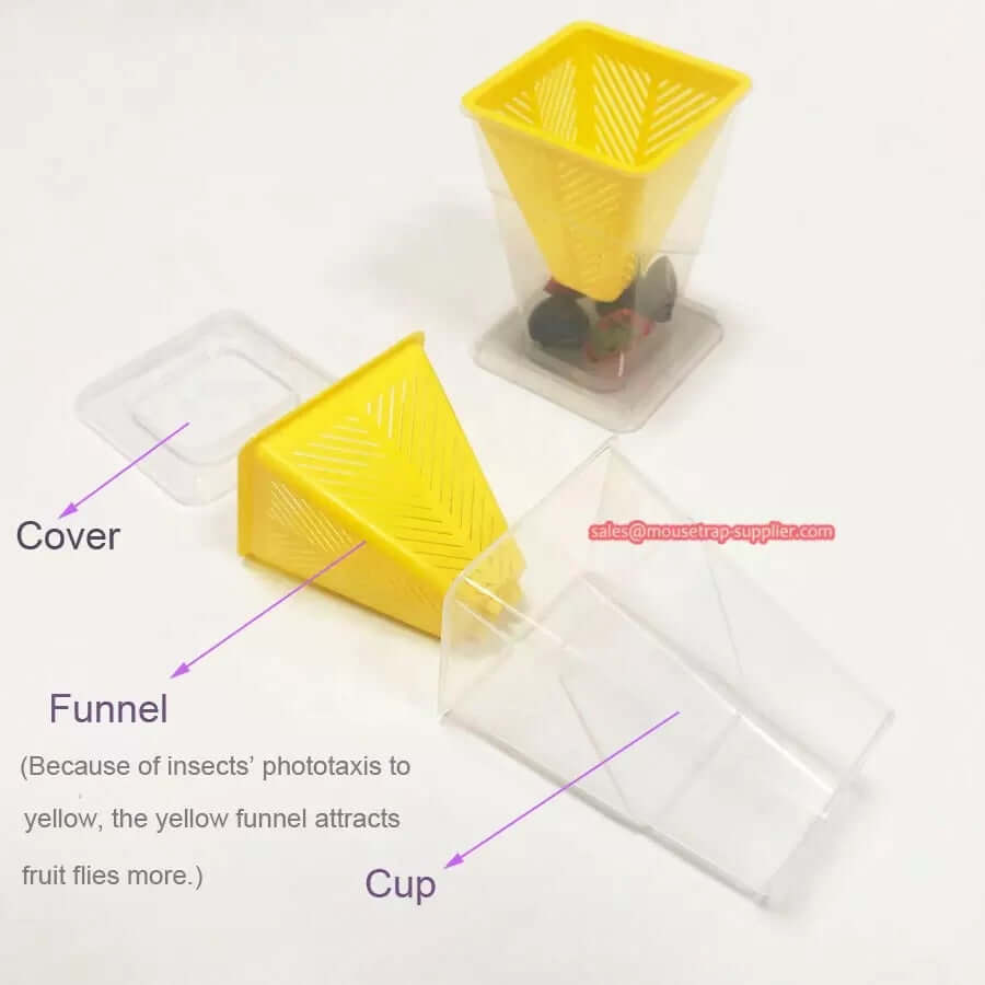 Home Kitchen Insect Trap