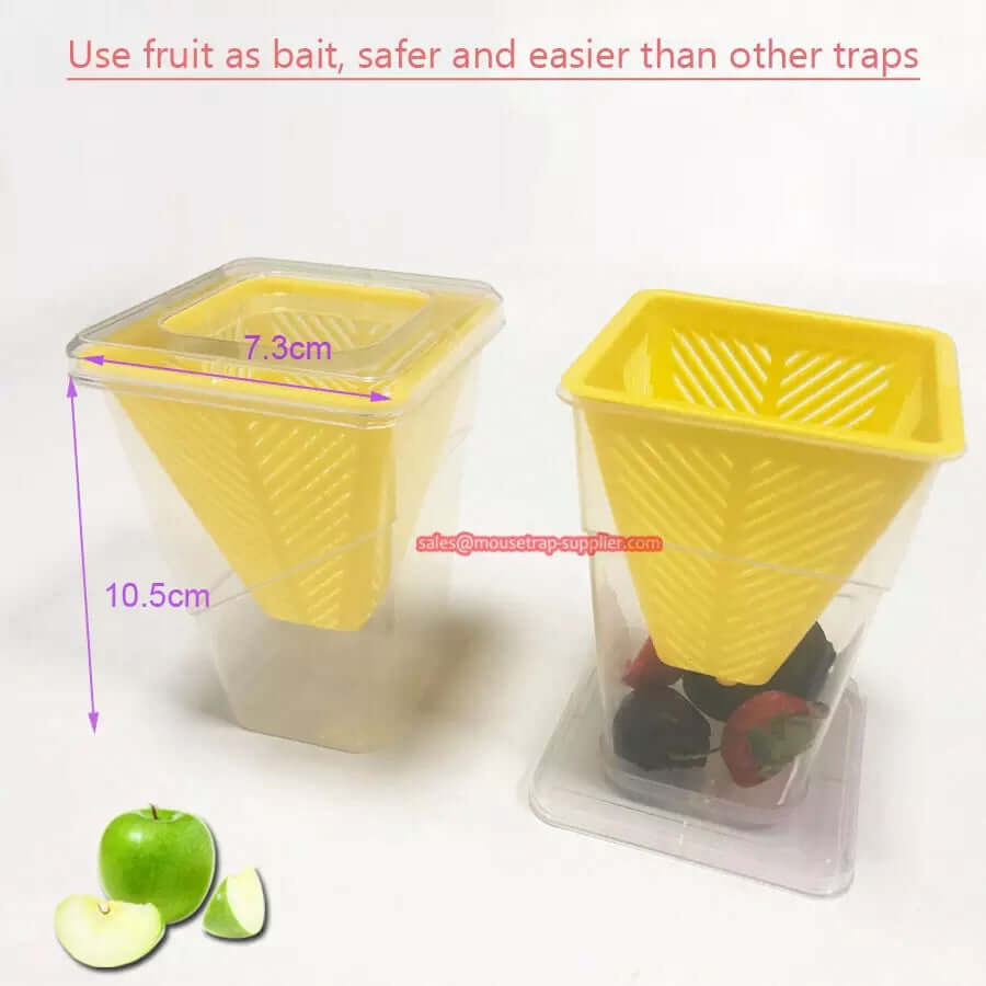 Home Kitchen Insect Trap
