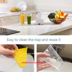 Home Kitchen Insect Trap